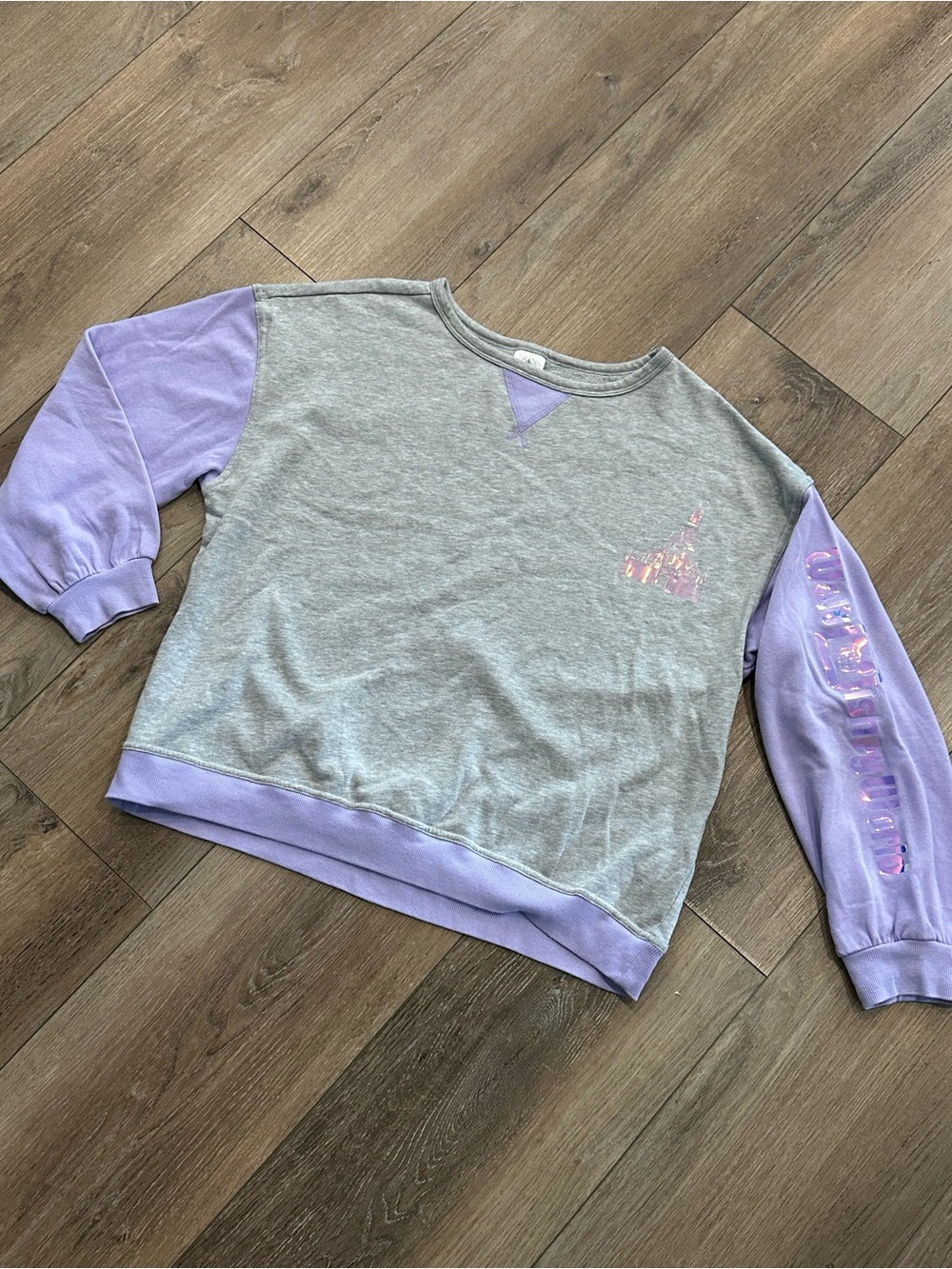 Walt Disney World Princess Castle Sweatshirt XL